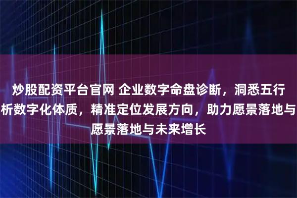 炒股配资平台官网 企业数字命盘诊断，洞悉五行八字，解析数字化体质，精准定位发展方向，助力愿景落地与未来增长