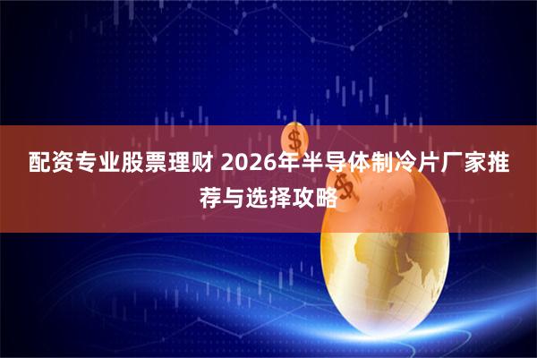 配资专业股票理财 2026年半导体制冷片厂家推荐与选择攻略